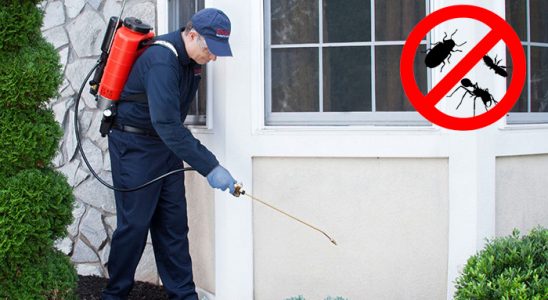 Sivrihisar Gümüşkurt İlaçlama böcek ilaçlama ve haşere kontrolü — ilaclama-tr.com